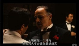 娱乐圈教父 黑料网永久免费网站直接进入网页,黑料网永久免费，真相大揭秘